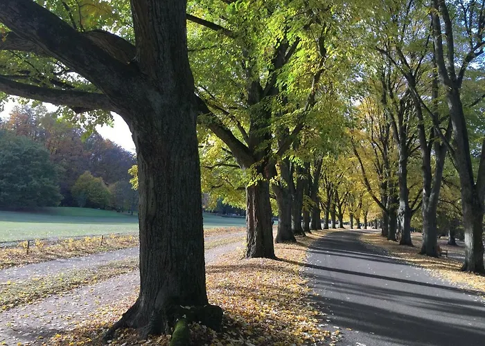 Suite Mit Blick Auf Die Lichtentaler Allee