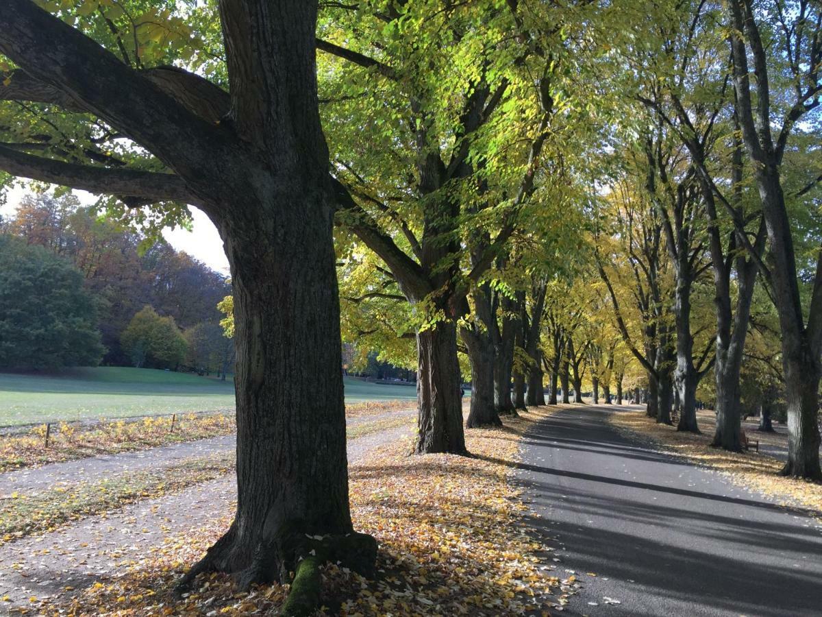 Mit Blick Auf Lichtentaler Allee Baden-Baden