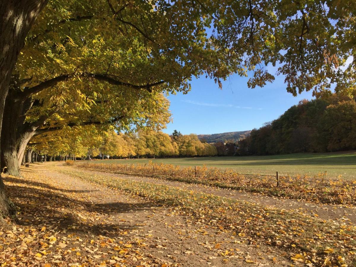 Lejlighed Mit Blick Auf Lichtentaler Allee *